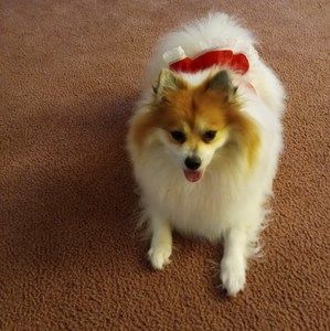 Meet your Posher, Cathy